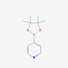 Picture of 4-(4,4,5,5-Tetramethyl-1,3,2-dioxaborolan-2-yl)pyridine