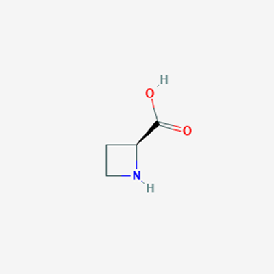 Picture of (S)-Azetidine-2-carboxylic acid