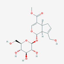 Picture of Geniposide(Standard Reference Material)