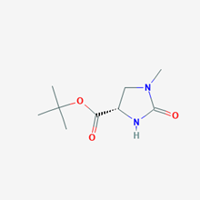 Picture of (S)-tert-Butyl 1-methyl-2-oxoimidazolidine-4-carboxylate