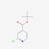 Picture of tert-Butyl 2-chloroisonicotinate