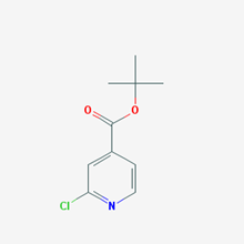 Picture of tert-Butyl 2-chloroisonicotinate