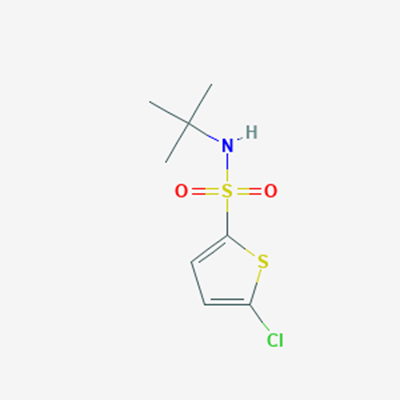 Picture of 5-Chlorothiophene-2-sulfonic acid tert-butylamide