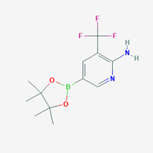 Picture of 5-(4,4,5,5-Tetramethyl-1,3,2-dioxaborolan-2-yl)-3-(trifluoromethyl)pyridin-2-amine