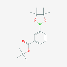 Picture of tert-Butyl 3-(4,4,5,5-tetramethyl-1,3,2-dioxaborolan-2-yl)benzoate