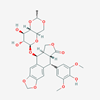 Picture of Etoposide(Standard Reference Material)