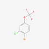 Picture of 1-Bromo-2-chloro-4-(trifluoromethoxy)benzene