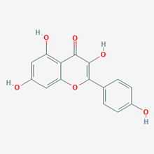 Picture of Kaempferol(Standard Reference Material)