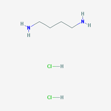 Picture of 1,4-Diaminobutane dihydrochloride