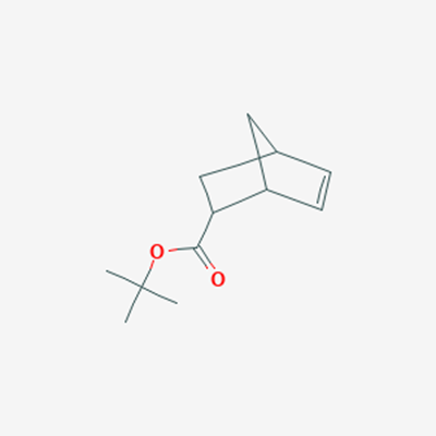 Picture of tert-Butyl Bicyclo[2.2.1]-5-heptene-2-carboxylate