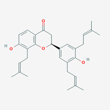 Picture of Sophoranone(Standard Reference Material)