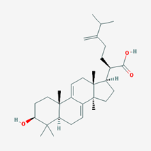 Picture of Dehydroeburicoic acid(Standard Reference Material)