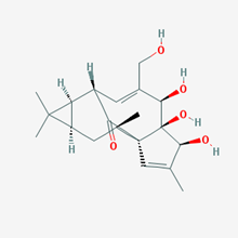 Picture of Ingenol(Standard Reference Material)