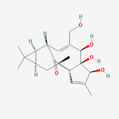 Picture of Ingenol(Standard Reference Material)