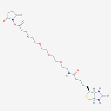 Picture of NHS-PEO4-Biotin