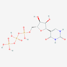 Picture of Pseudouridine UTP.3Na, 100mM solution